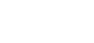 Logo White