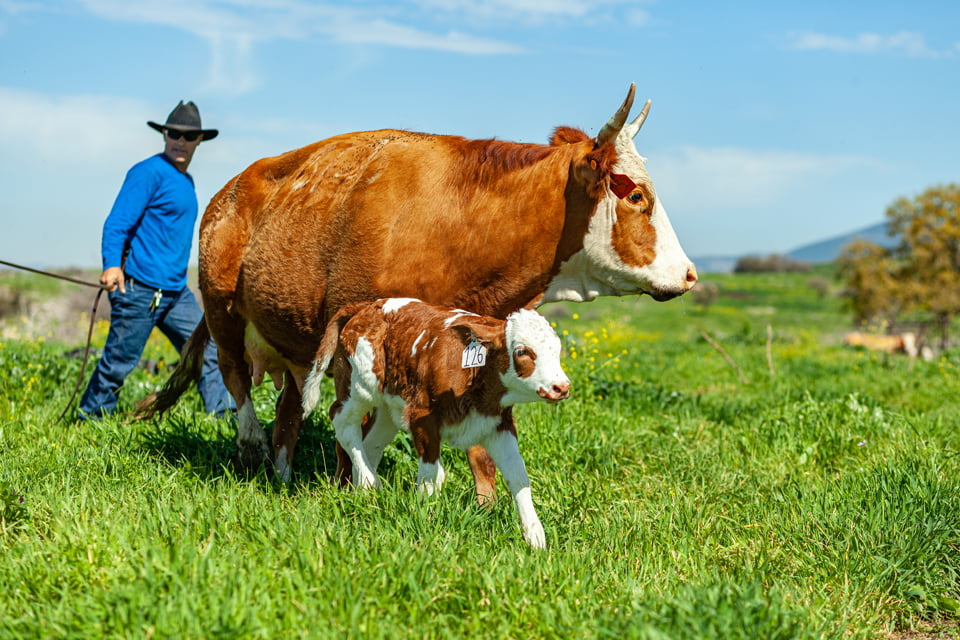 Mg 8241